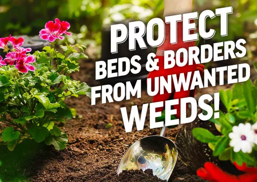 Roundup weed killer for Beds & Borders