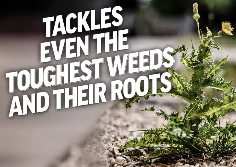 Roundup weed killer for Tough Weeds & Tree Stumps
